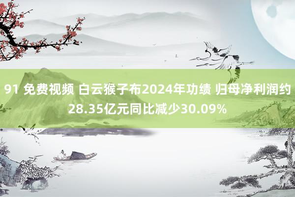 91 免费视频 白云猴子布2024年功绩 归母净利润约28.35亿元同比减少30.09%