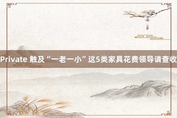 Private 触及“一老一小”这5类家具花费领导请查收